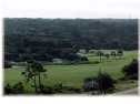 9401 Thomas Dr, Panama City Beach, FL 32408